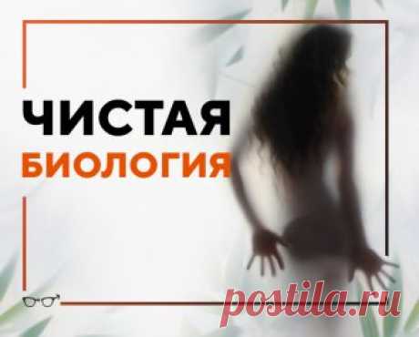 Что возбуждает мужчин? Кроме попы и груди ⇒ Блог Ярослава Самойлова Что возбуждает мужчин? Кроме попы и груди ➜ Статьи, советы, тренинги, рекомендации для женщин и мужчин ✔ Блог Ярослава Самойлова