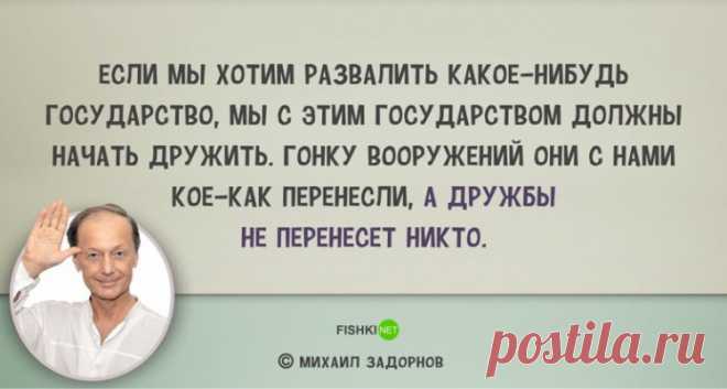Цитаты задорнова в картинках