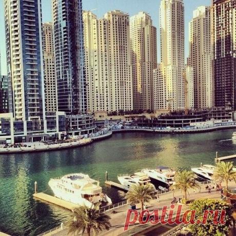 Радоваться жизни - самое правильное ре / Основы бизнеса