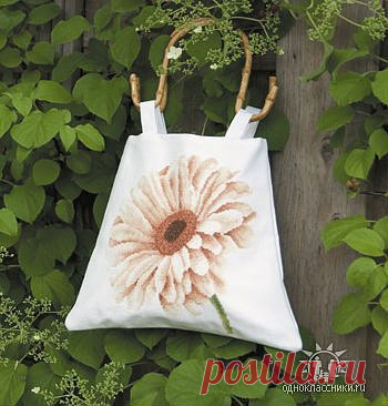85782 67194 28135525 m750x740 — Postimage.org
