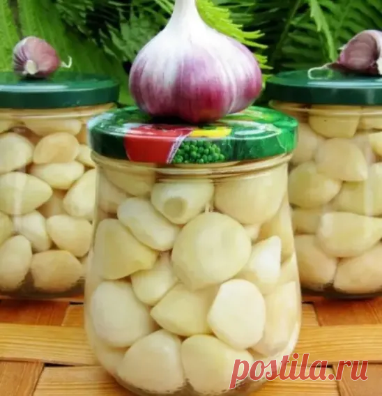 Маринованный чеснок на зиму
Заготовка на зиму маринованного чеснока отличается не только своим прекрасным пикантным вкусом, но и огромным багажом из полезных свойств. В таком овоще остаются в сохранности все минеральные вещества и витамины, необходимые для организма человека в зимний период. Такое вещество, как аллицин, ускоряет выработку большого количества сероводорода, который является натуральным антиоксидантом. Регулярное употребление маринованного чеснока восстанавли...