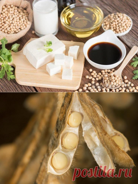 Продукты из сои – благословение или проклятие?