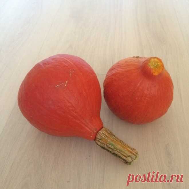 Тыква детская деликатесная f1 Огород без хлопот - информационный сайт для дачников, садоводов и огородников.