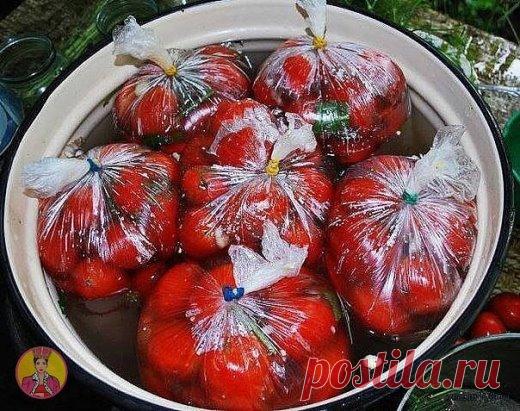 ВКУСНЕЙШИЕ в ПАКЕТАХ и ПОМИДОРЧИКИ и ОГУРЧИКИ 