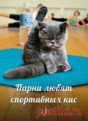 Ааххаха)) Любят, конечно)) А так - считаю, что главное - внутренний мир, как бы избито это не звучало. Вся красота становится бесполезной, если внутри человек гнилой.