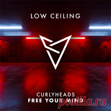 Curlyheads - FREE YOUR MIND | 4DJsonline.com