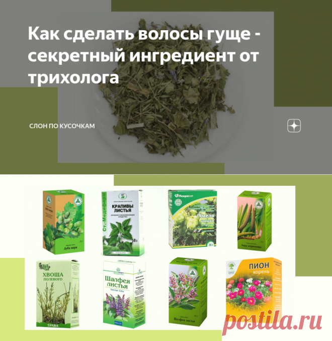 Как сделать волосы гуще - секретный ингредиент от трихолога | СЛОН по кусочкам | Яндекс Дзен