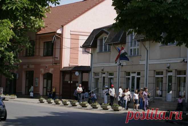 Консульство Венгерской республики