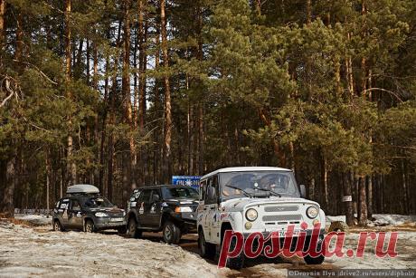 Нижняя Кама. Там где рисовал Шишкин и гнездятся орланы.