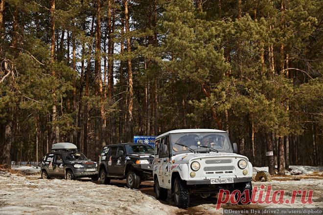 Нижняя Кама. Там где рисовал Шишкин и гнездятся орланы.