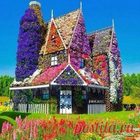 Google+