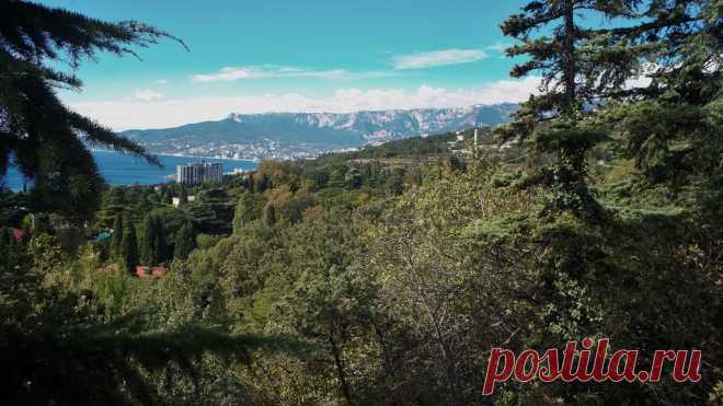 КРЫМ. ГУРЗУФ. Гурзуфский парк