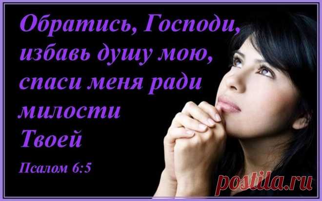 Жемчужины слова Божьего#