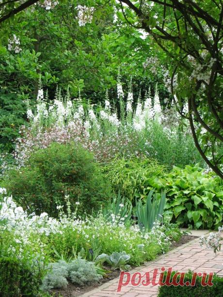 Sissinghurst's white garden | Backyards Click