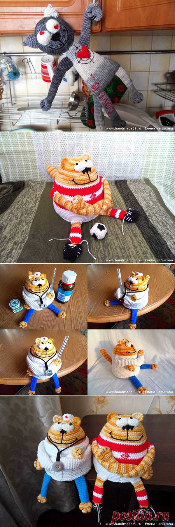 Мастер-классы по котам.