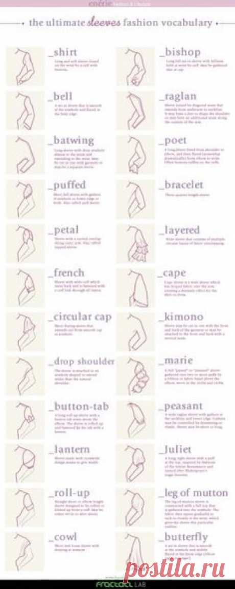 Sleeves Fashion Vocabulary