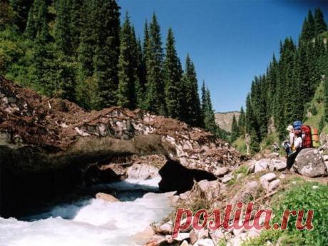 сары челек фото: 643 изображения найдено в Яндекс.Картинках