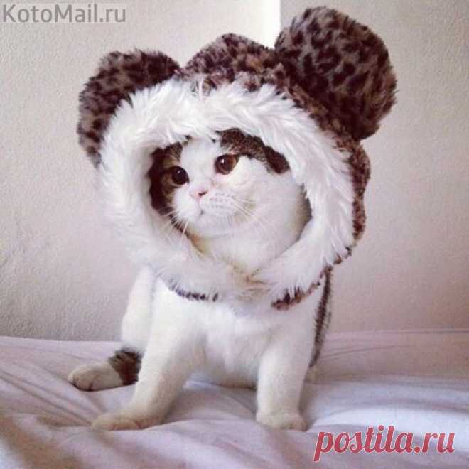 Не мой размерчик, а жаль - тепленькая шапочка