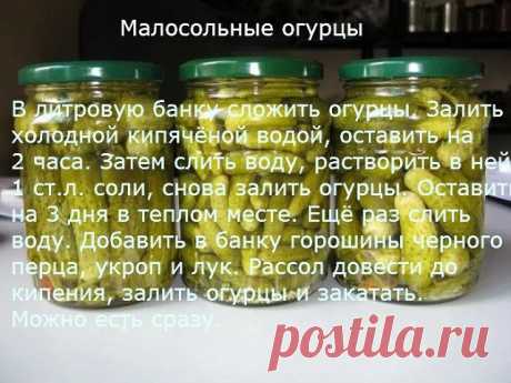 малосольные огурцы