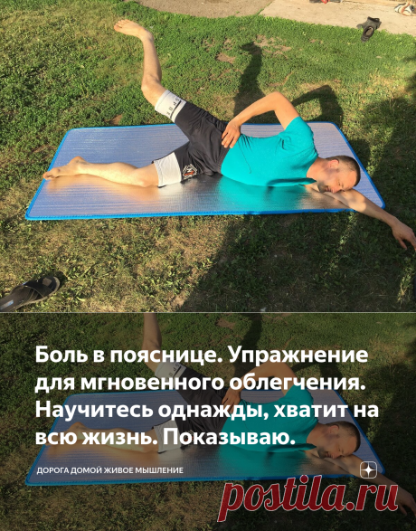 Боль в пояснице. Упражнение для мгновенного облегчения. Научитесь однажды, хватит на всю жизнь. Показываю. | ДОРОГА ДОМОЙ Живое мышление | Яндекс Дзен