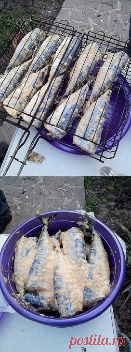 (23) Одноклассники