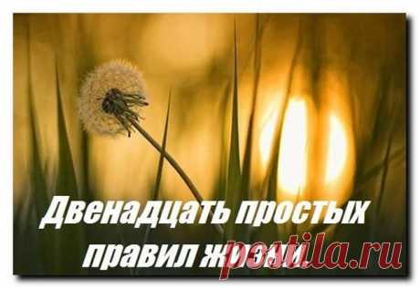 ●•●•  Дневник Жизни ●•●•
