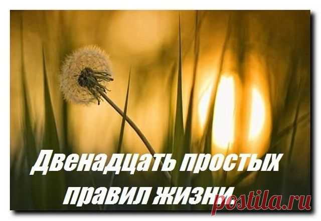 ●•●•  Дневник Жизни ●•●•