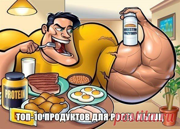 ТОП-10 продуктов для роста мышц: / Абсолютное здоровье