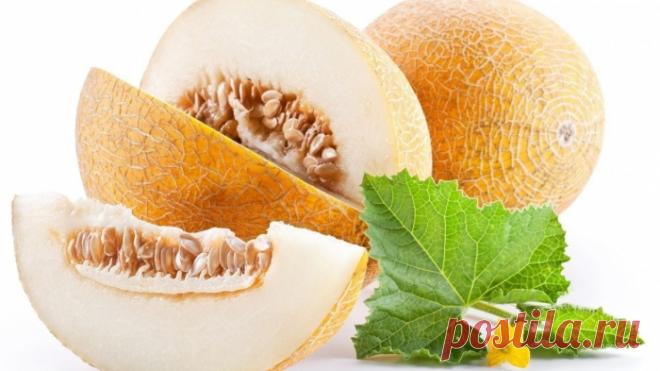 ДЫНЯ ЛЕЧИТ