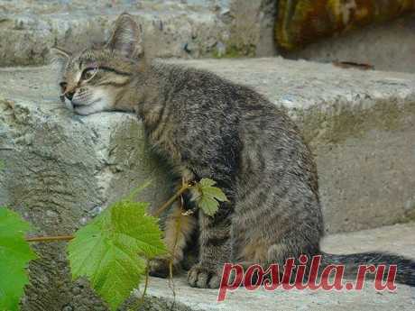 Не работаешь - жить не на что.
Работаешь - жить некогда.
Сейчас уже каждый второй человек ищет ...

себе дополнительный или основной источник дохода, именно поэтому так часто приходит сообщения с предположениями о работе.я вам хочу предложить просто ознакомиться с информацией, которую предлагаю я, и узнать как удается людям в кризис зарабатывать. Если хочешь узнать сейчас НАЖИМАЙ  ===&gt;&gt;&gt;