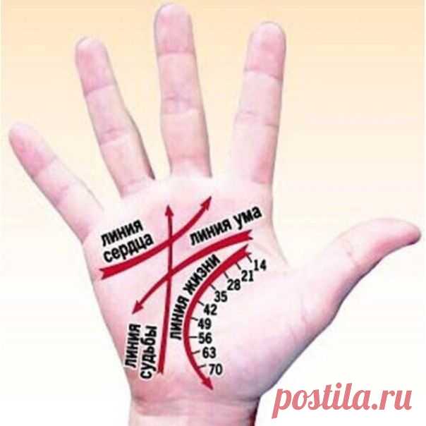 Узнай свою судьбу по линиям на ладонях! точность на 90-95%! Проверьте себя и друзей, так ли это! Нажмите «Поделиться» — протестируйте друзей! | Узнал сам - расскажи другому.