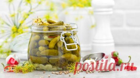 1 секретный ингредиент и 4 правила для маринования хрустящих и крепких огурцов Вы любите есть маринованные огурцы? А готовить? Мы любим и то, и другое, поэтому делимся с вами секретами их приготовления. Секретный ингредиент весьма неожиданный, но его просто купить в аптеке.