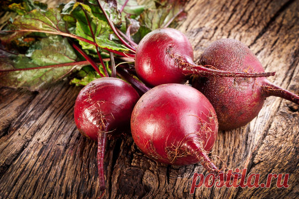 Когда убирать свёклу 
Давайте поговорим про уборку свёклы. Сначала — о сроках, а затем о том, можно ли по внешнему виду определить, что свёкла созрела, и зимой из неё получится восхитительный борщ. 

Итак, представим, что…