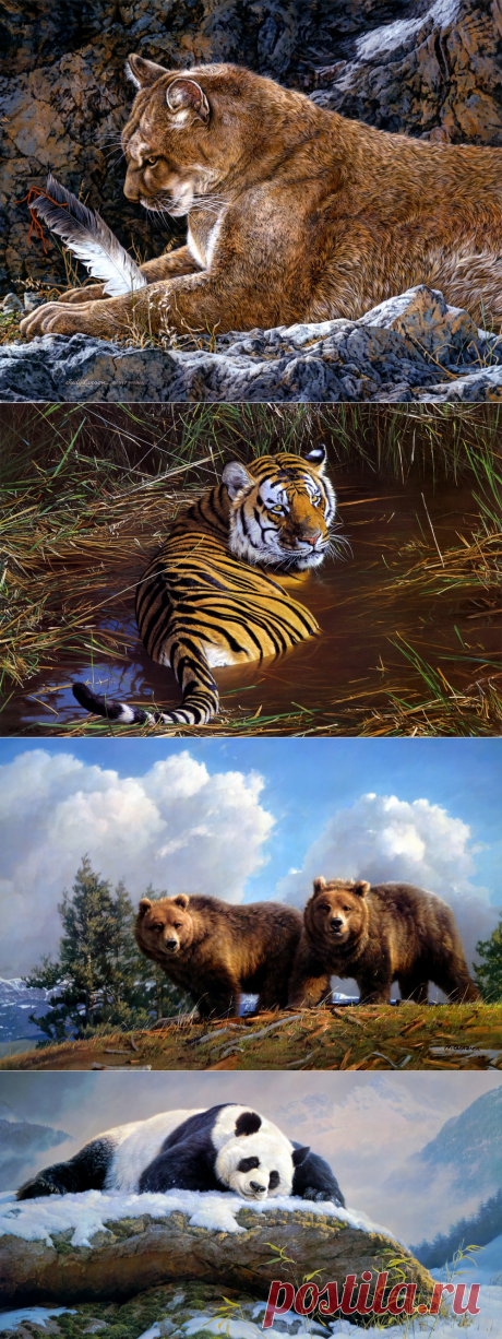 В мире животных и птиц. Часть 21.