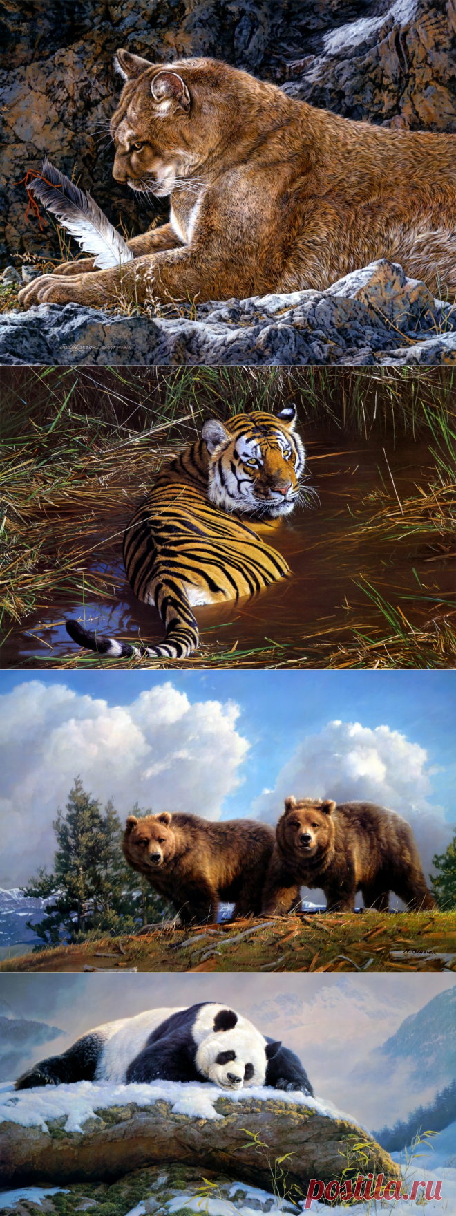 В мире животных и птиц. Часть 21.