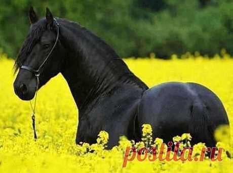 getImage (429×320)