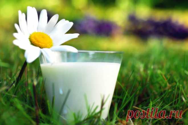 Как проверить качество продуктов: Десять эффективных способов
