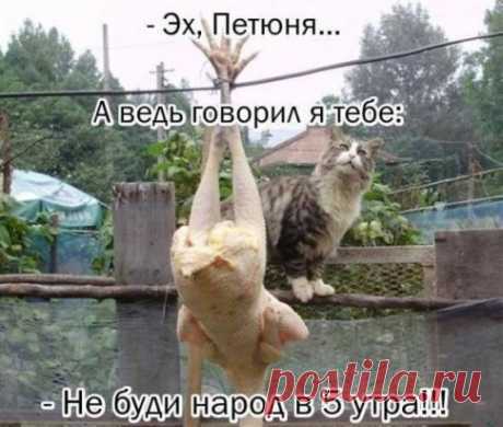 i (485×411)