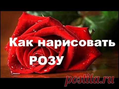 Как нарисовать Розу поэтапно. Екатерина Седова 20.