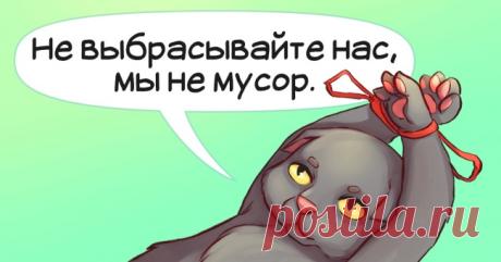 13 иллюстраций о чувствах животных, которые действуют как удар кнутом в самое сердце . Милая Я
