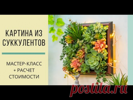 из суккулентов