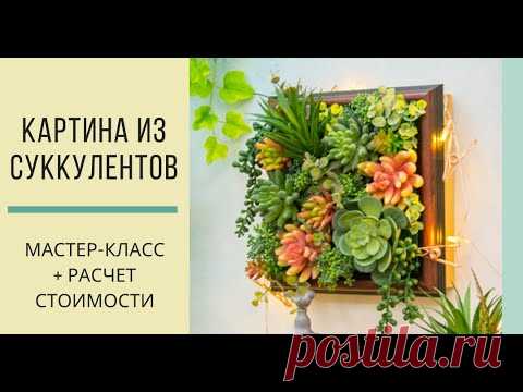 из суккулентов