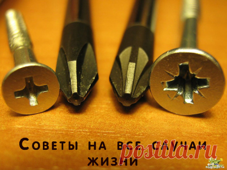 Советы на все случаи жизни.