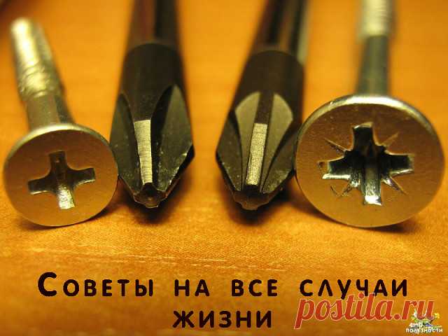 Советы на все случаи жизни.