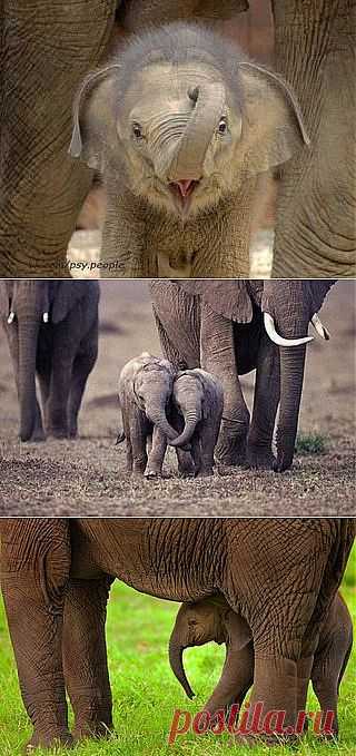 Психология отношений | ВКонтакте