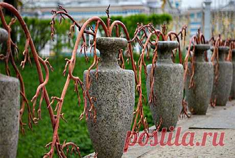 17 фото необычных заборов