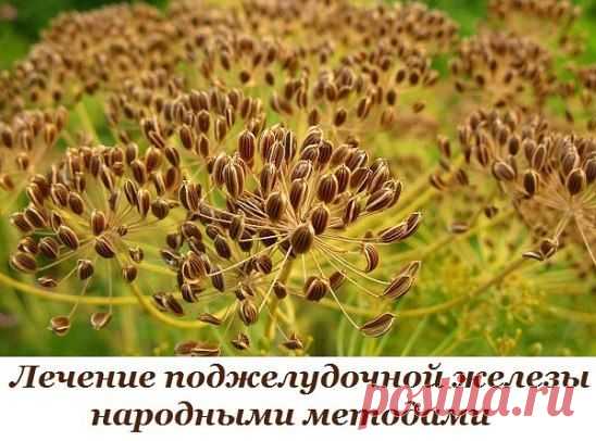 (50) Одноклассники