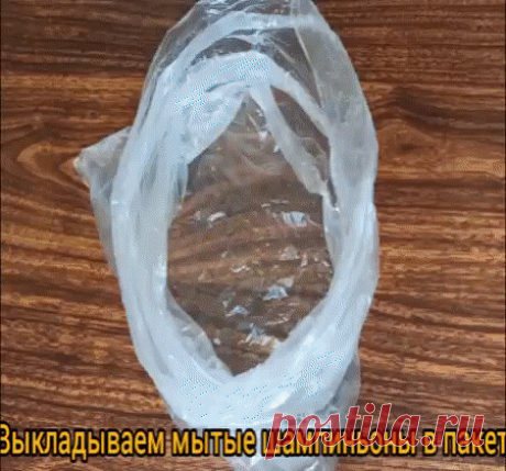 маринованные грибы запекаем
Ирина Колесникова