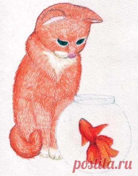 «Результаты поиска по запросу "рисунки кошек" в Яндекс.Картинках» — карточка пользователя slavashishaev в Яндекс.Коллекциях