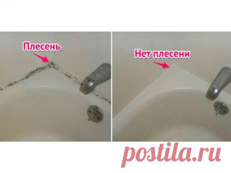 Черная плесень в ванной: как удалить? Понравилась статья? Следите за новыми идеями из мира строительства, дизайна, полезных советов в нашем канале. Подписывайтесь на нас в Яндекс.Дзене. Подписаться. Наверное, не найдется такого человека, который бы не столкнулся в ванной комнате или на кухне с черной плесенью. Какие причины могут быть в появлении плесени? Главное, как удалить её с поверхности стен домашними методами? …